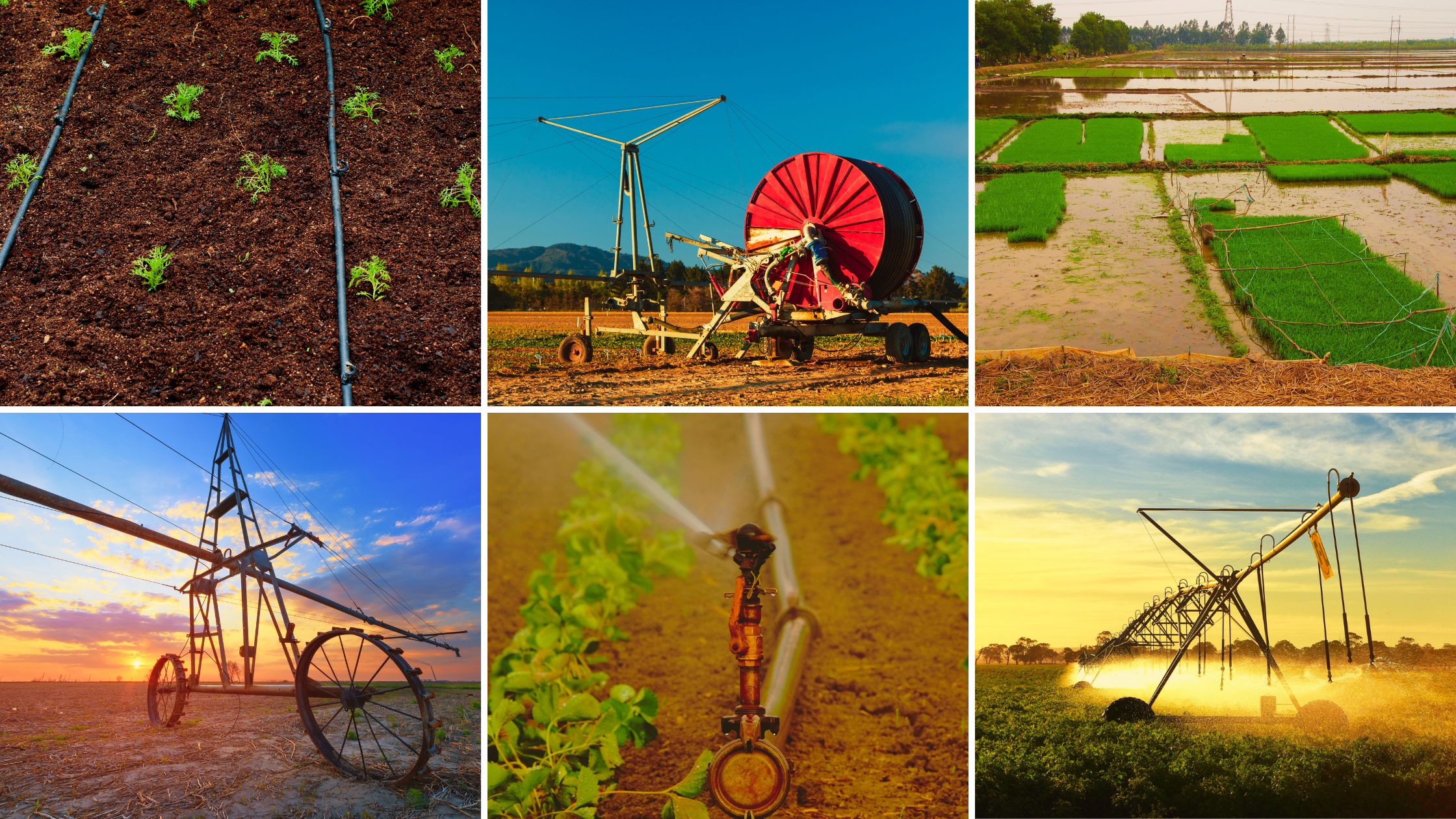 Ventajas Y Desventajas De Cada Sistema De Riego Agrícola: Goteo ...